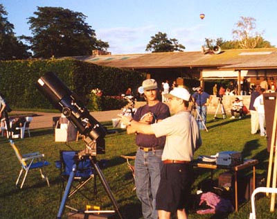 Mark and Frank Consulting